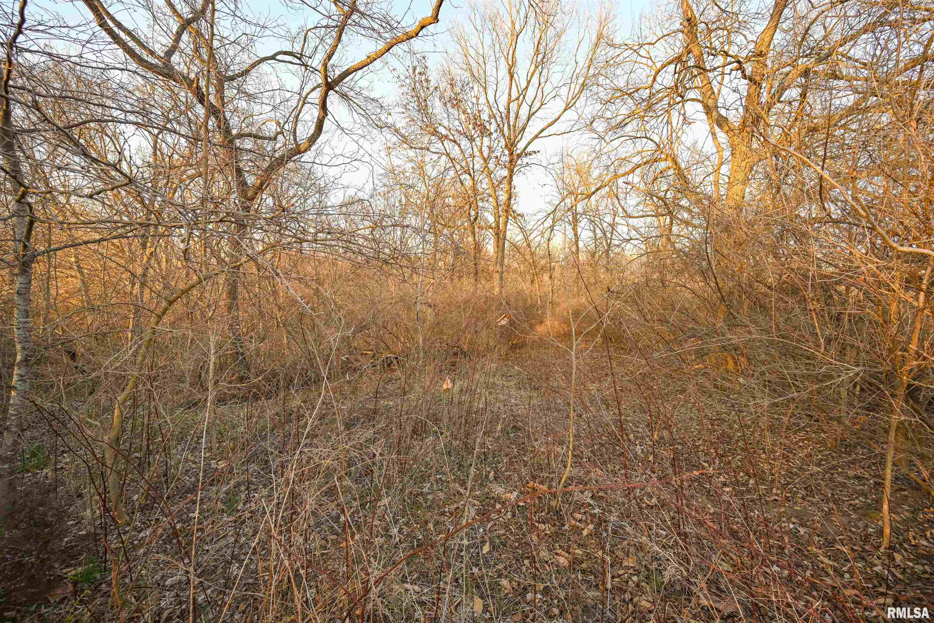 0 Winchester Glasgow Road Winchester, IL 62694 - Photo 40 of 56