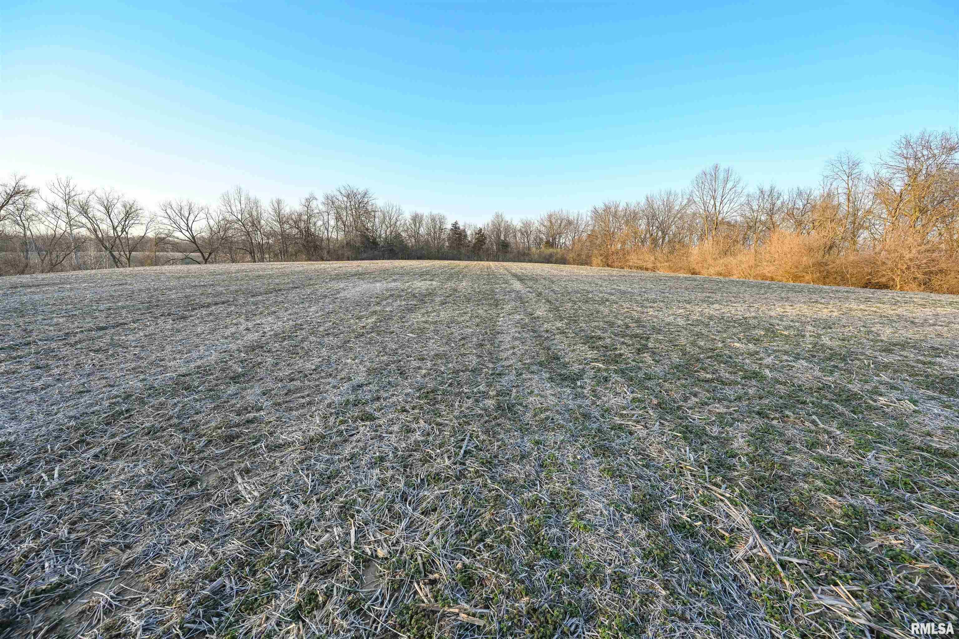 0 Winchester Glasgow Road Winchester, IL 62694 - Photo 44 of 56