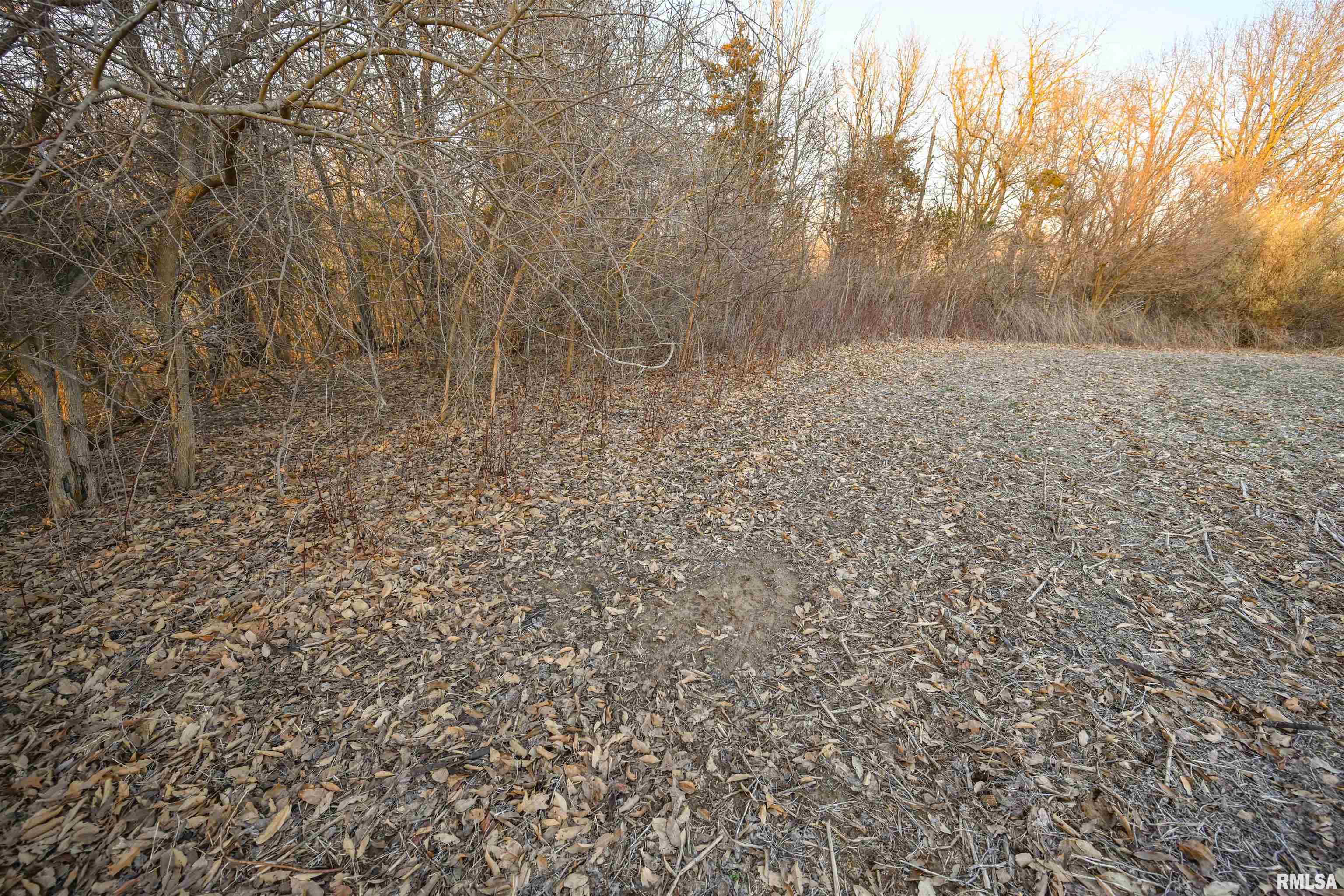 0 Winchester Glasgow Road Winchester, IL 62694 - Photo 46 of 56
