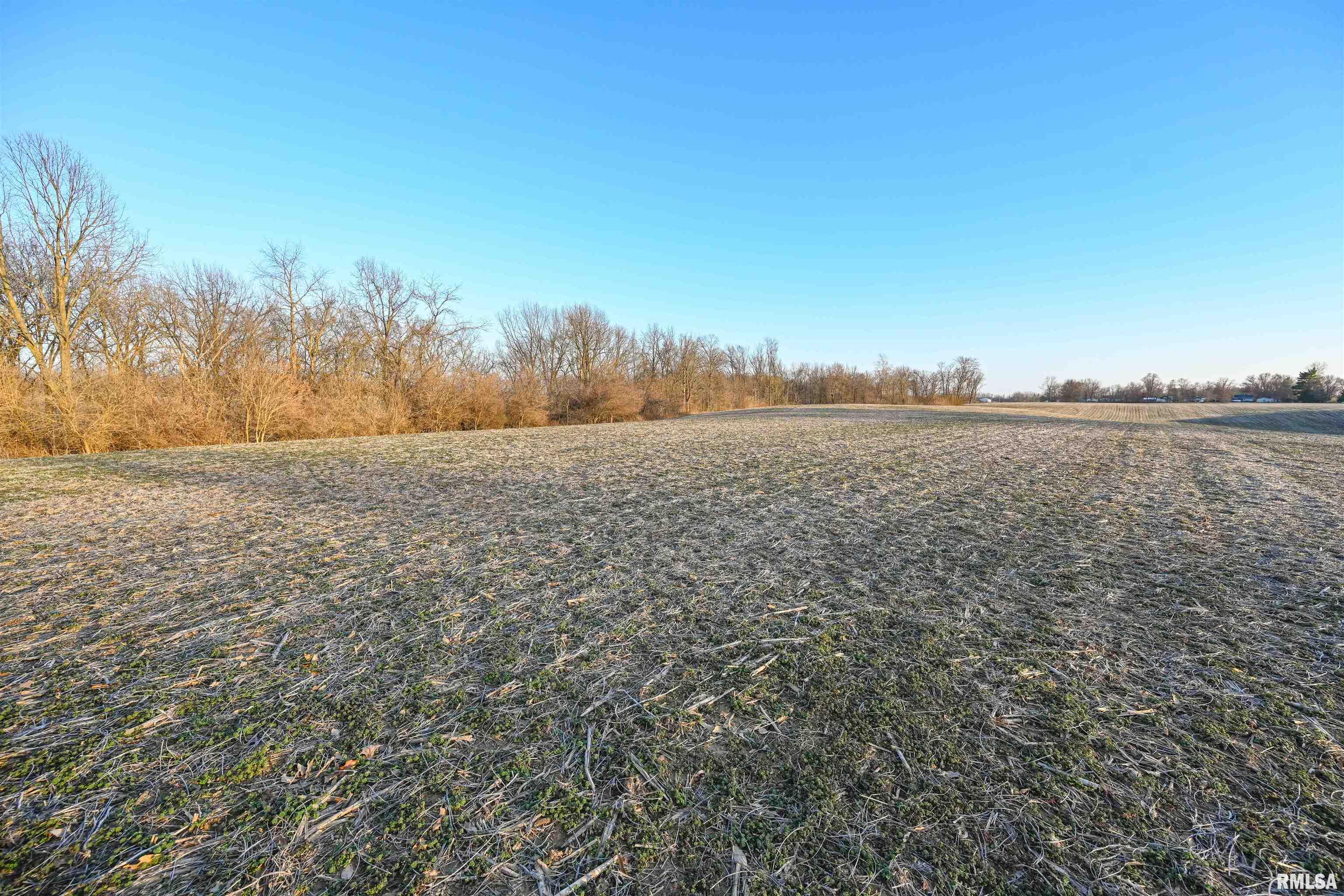 0 Winchester Glasgow Road Winchester, IL 62694 - Photo 49 of 56