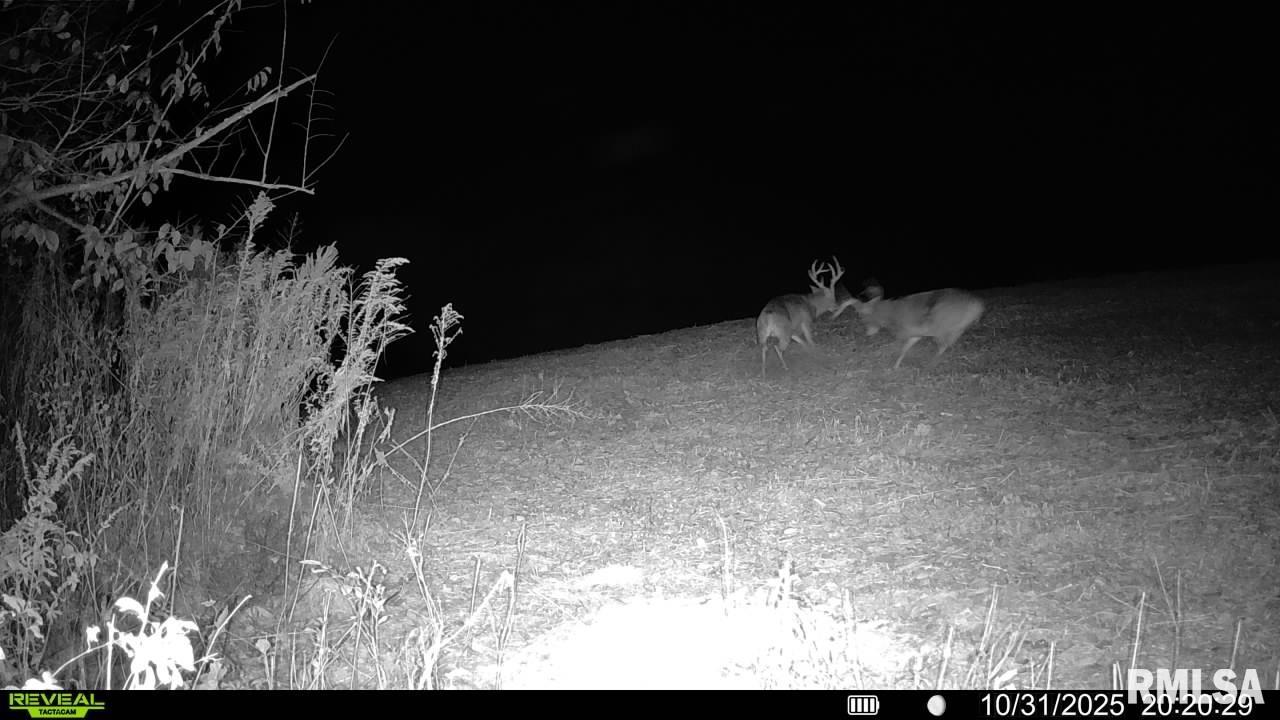 0 Winchester Glasgow Road Winchester, IL 62694 - Photo 53 of 56