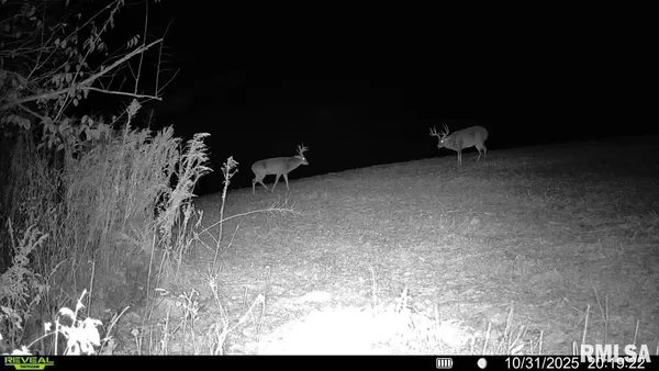 $902,086 | 0 Winchester Glasgow Road, Winchester, IL 62694