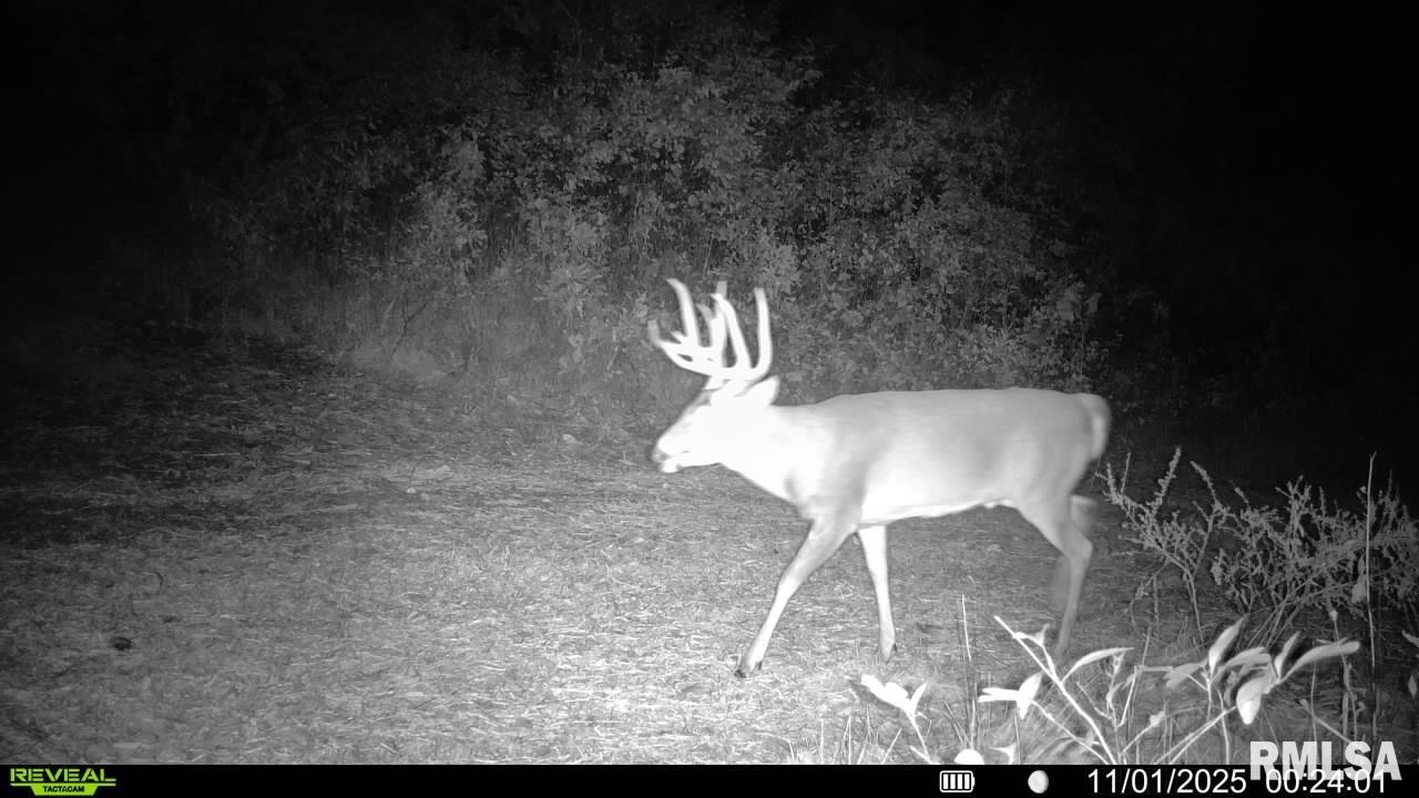 0 Winchester Glasgow Road Winchester, IL 62694 - Photo 55 of 56