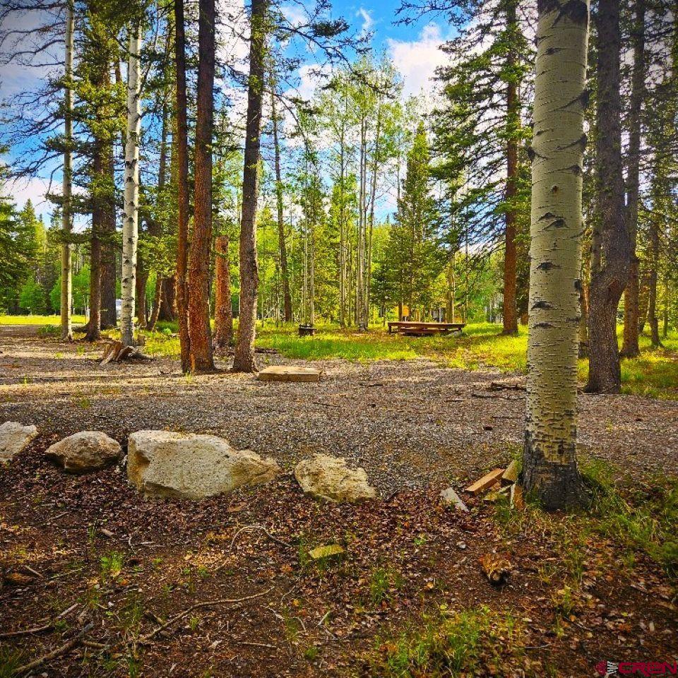 160 Lake Road Cimarron, CO 81220 - Photo 9 of 16