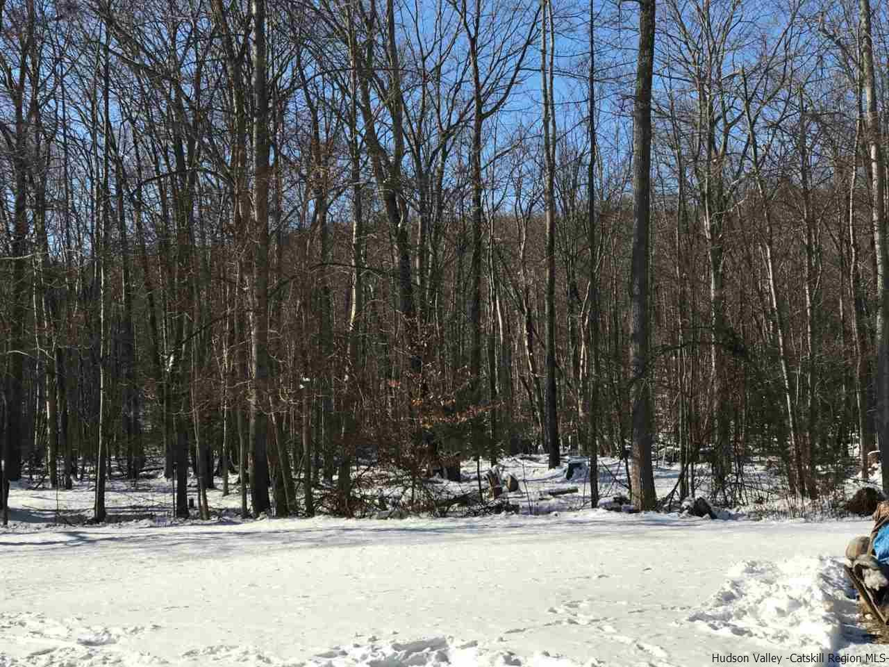 253 Bostock Road Shokan, NY 12481 - Photo 6 of 9 a view of a snow on the side of the road