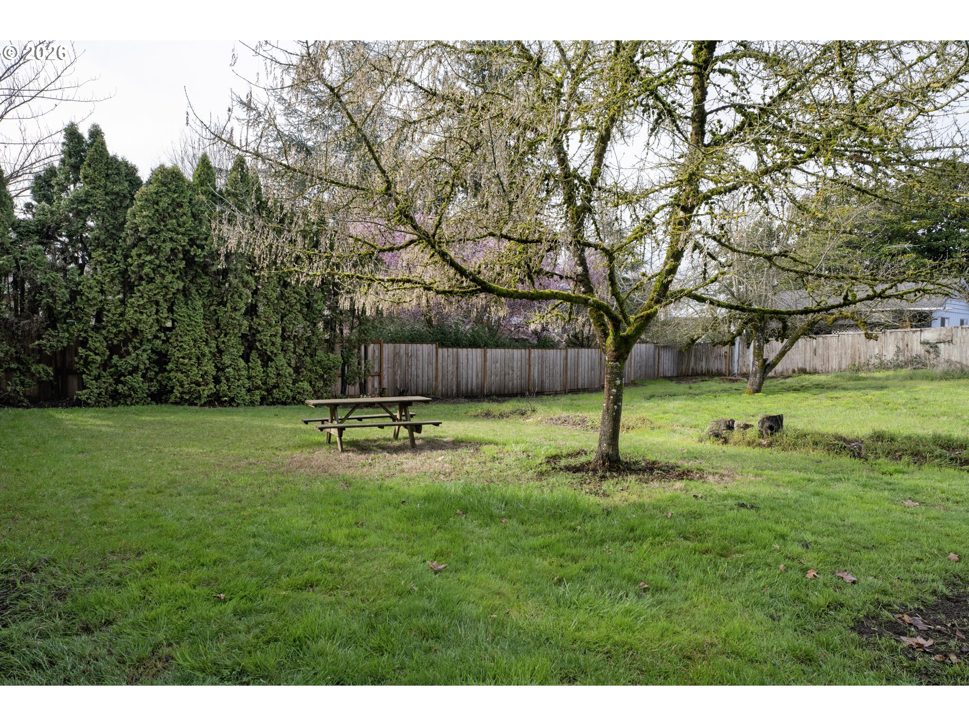 780 Cherry Avenue Eugene, OR 97404 - Photo 26 of 29 a swimming pool with outdoor seating and yard