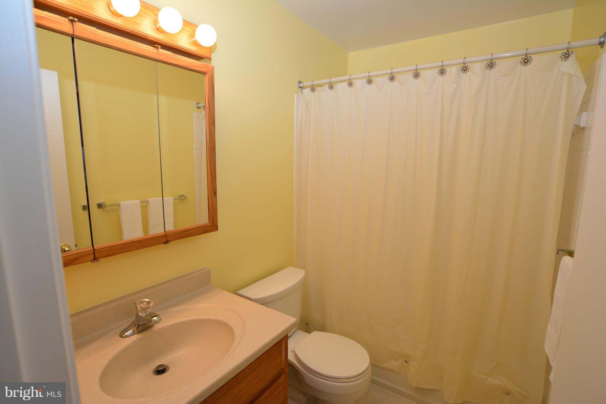 4339 Cub Run Road Chantilly, VA 20151 - Photo 12 of 21 Bath