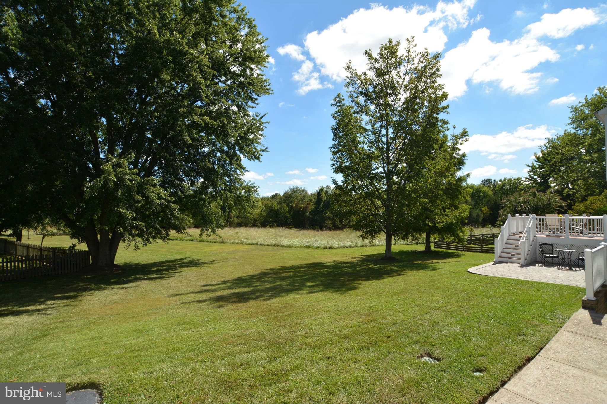 4339 Cub Run Road Chantilly, VA 20151 - Photo 17 of 21 Exterior (Rear)