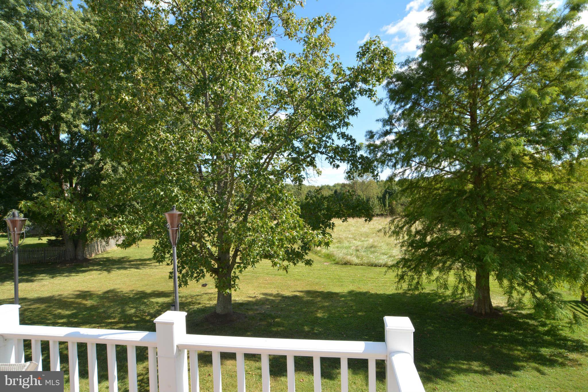 4339 Cub Run Road Chantilly, VA 20151 - Photo 18 of 21 View