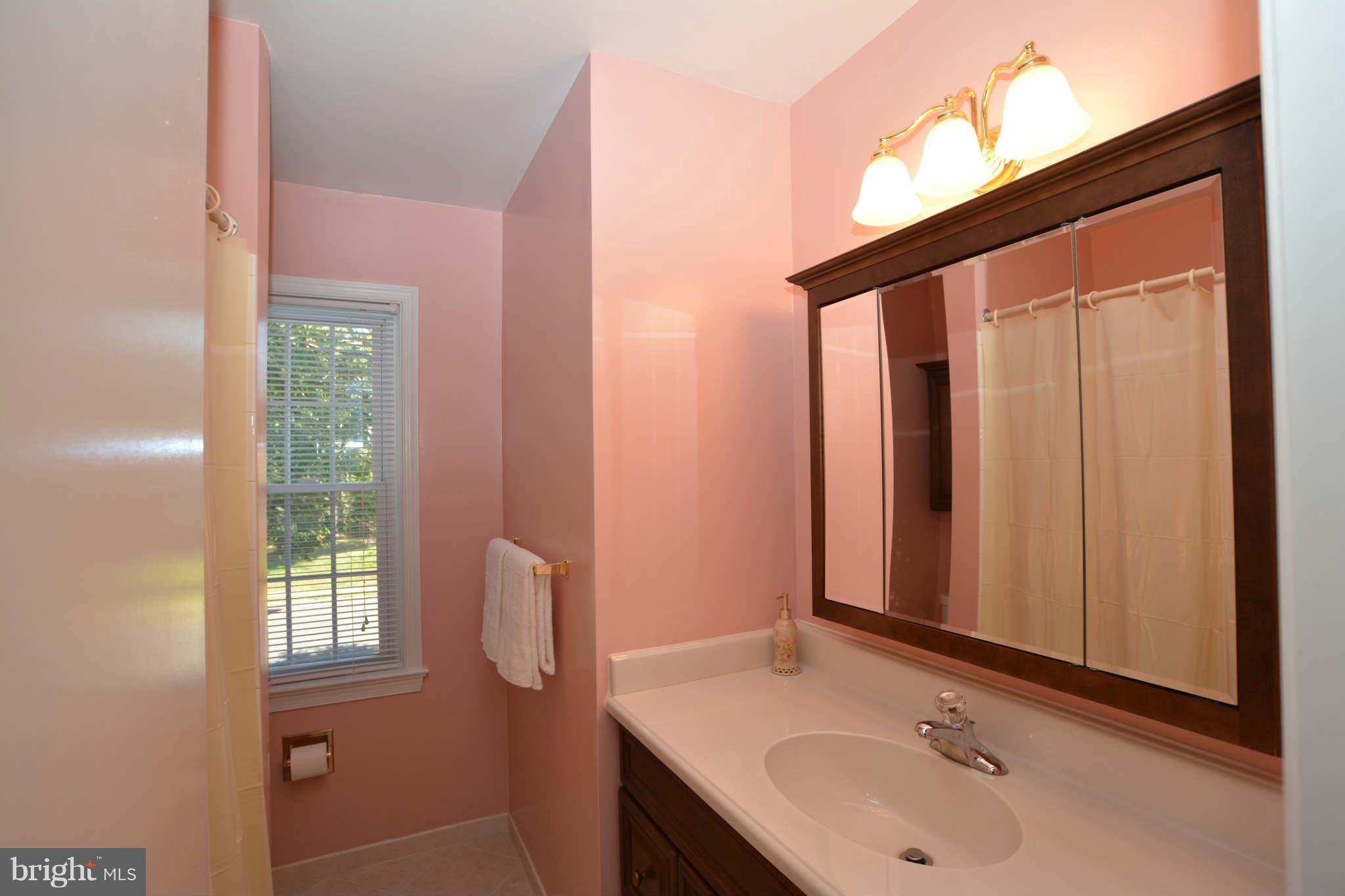 4339 Cub Run Road Chantilly, VA 20151 - Photo 9 of 21 Bath (Master)