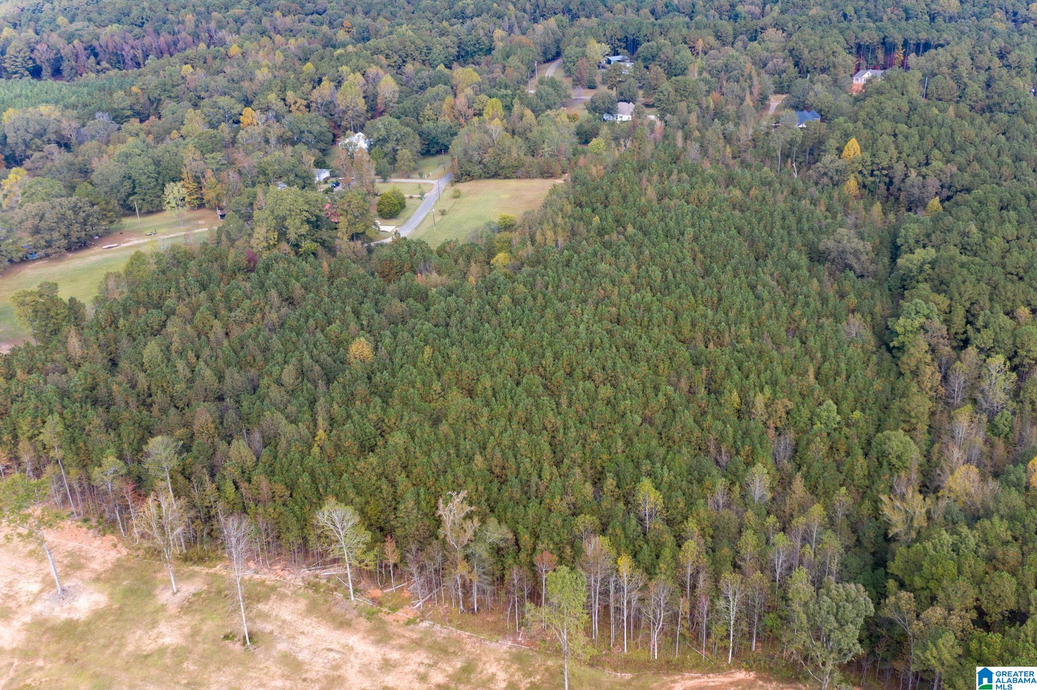 0 Olde S Spur McCalla, AL 35111 - Photo 13 of 25