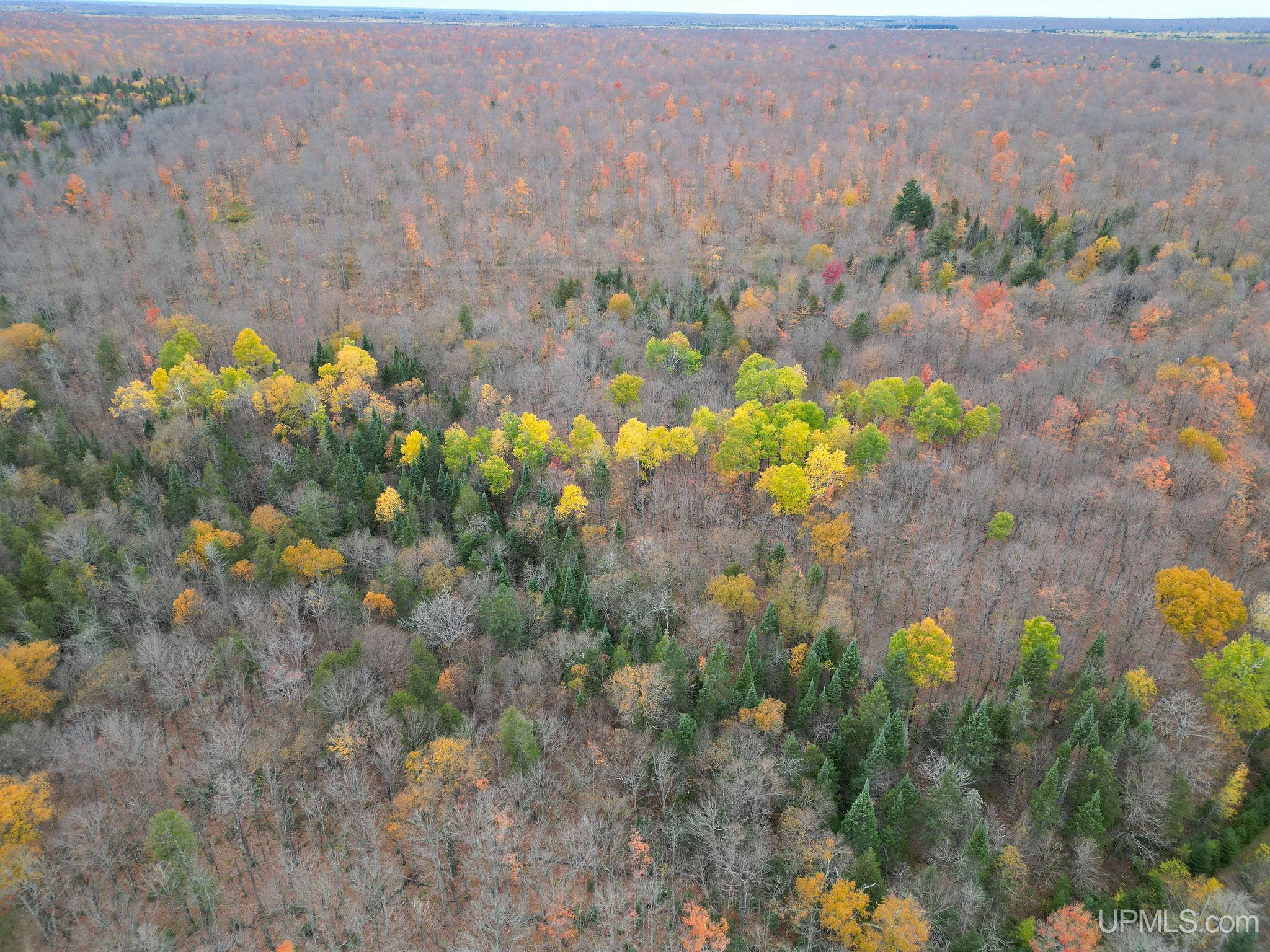 500 Fence River Road Republic, MI 49879 - Photo 35 of 37