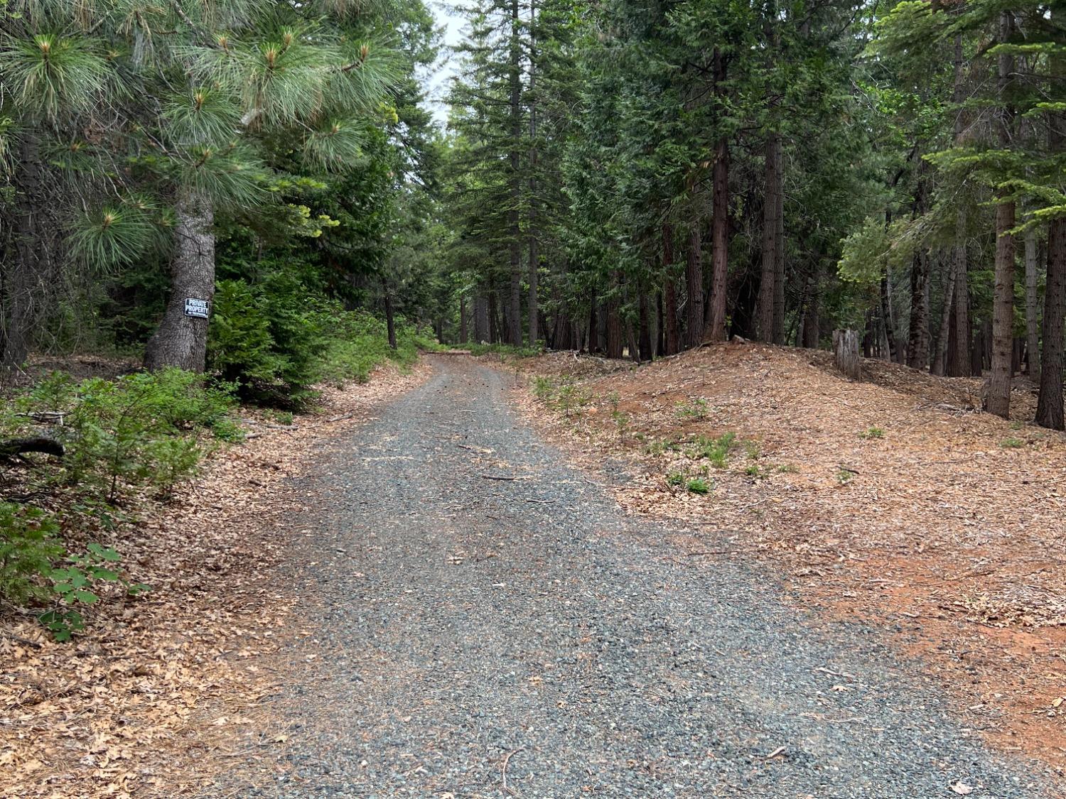 0 Canyon View Court Alta, CA 95701 - Photo 26 of 46 a view of backyard with green space