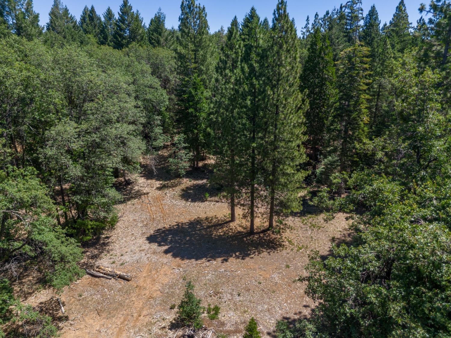 0 Canyon View Court Alta, CA 95701 - Photo 32 of 46 a view of a forest with trees in the background