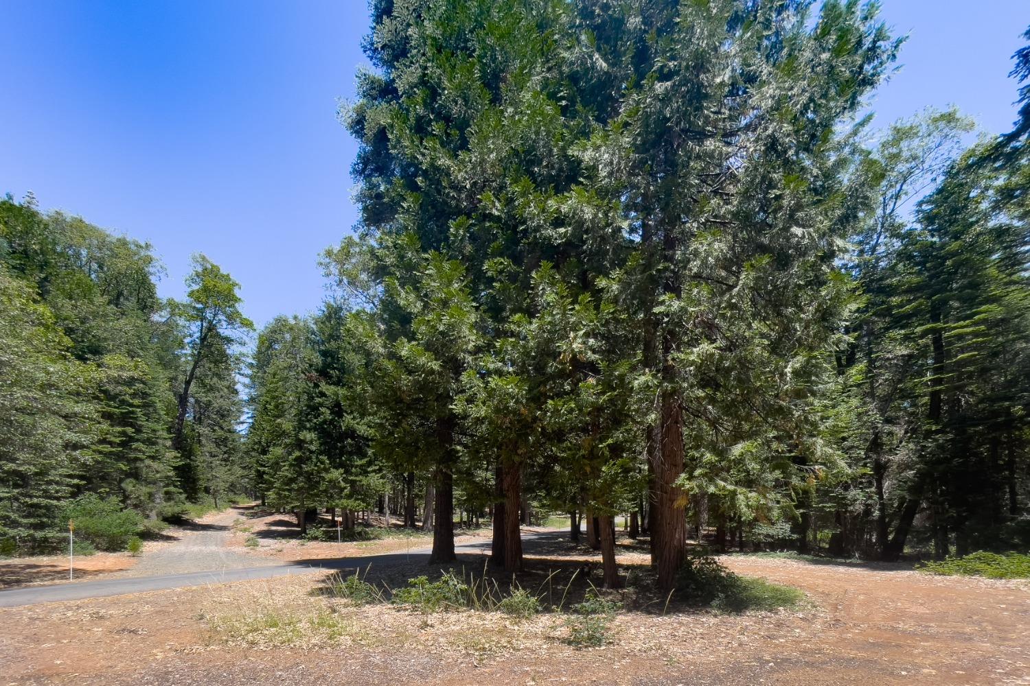 0 Canyon View Court Alta, CA 95701 - Photo 38 of 46 a view of outdoor space with trees