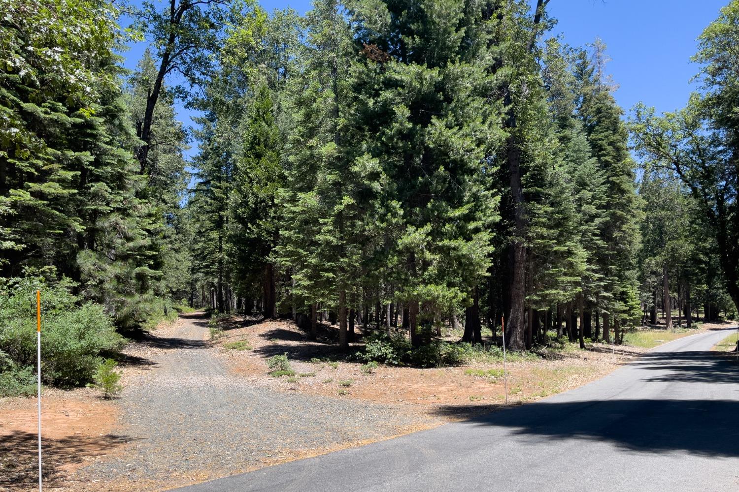0 Canyon View Court Alta, CA 95701 - Photo 39 of 46 a view of street with trees