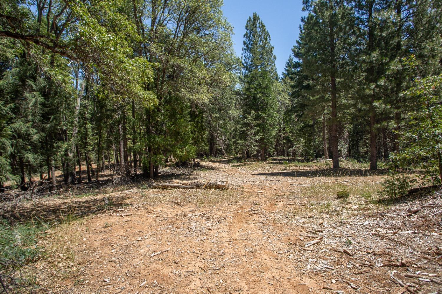0 Canyon View Court Alta, CA 95701 - Photo 40 of 46 a view of backyard space with trees