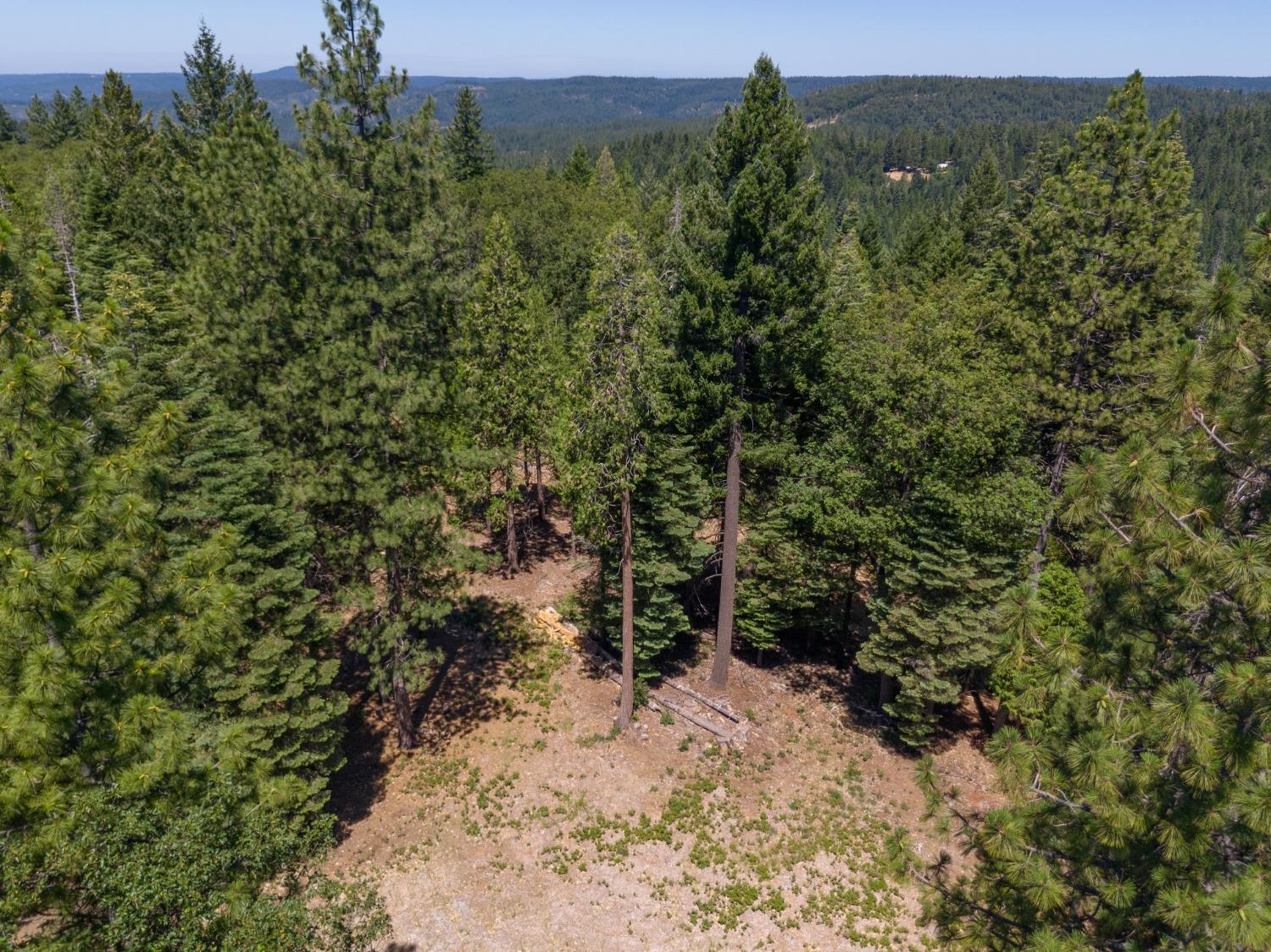 0 Canyon View Court Alta, CA 95701 - Photo 4 of 46 a view of a yard with plants and a houses
