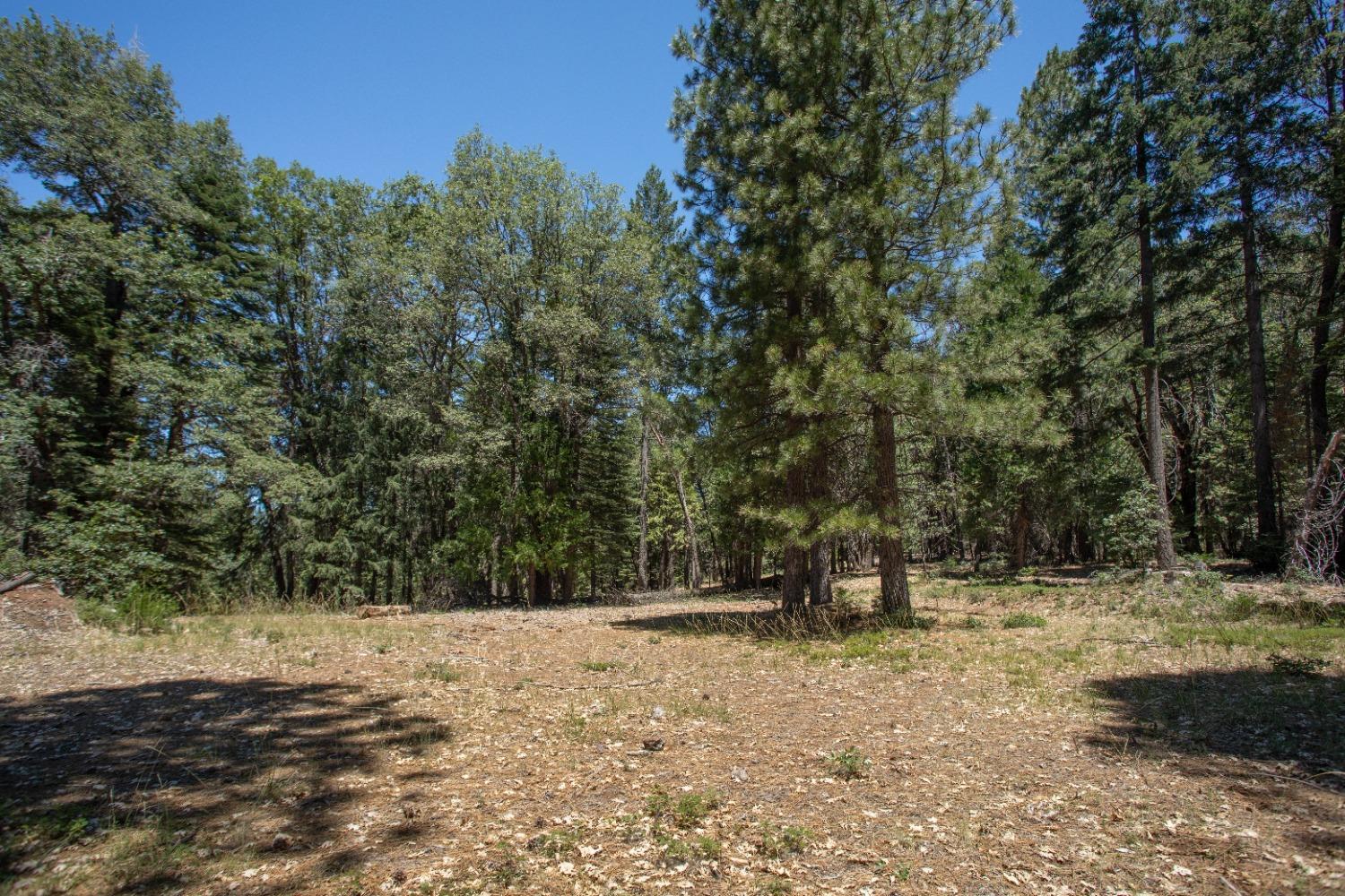 0 Canyon View Court Alta, CA 95701 - Photo 41 of 46 a view of outdoor space with trees