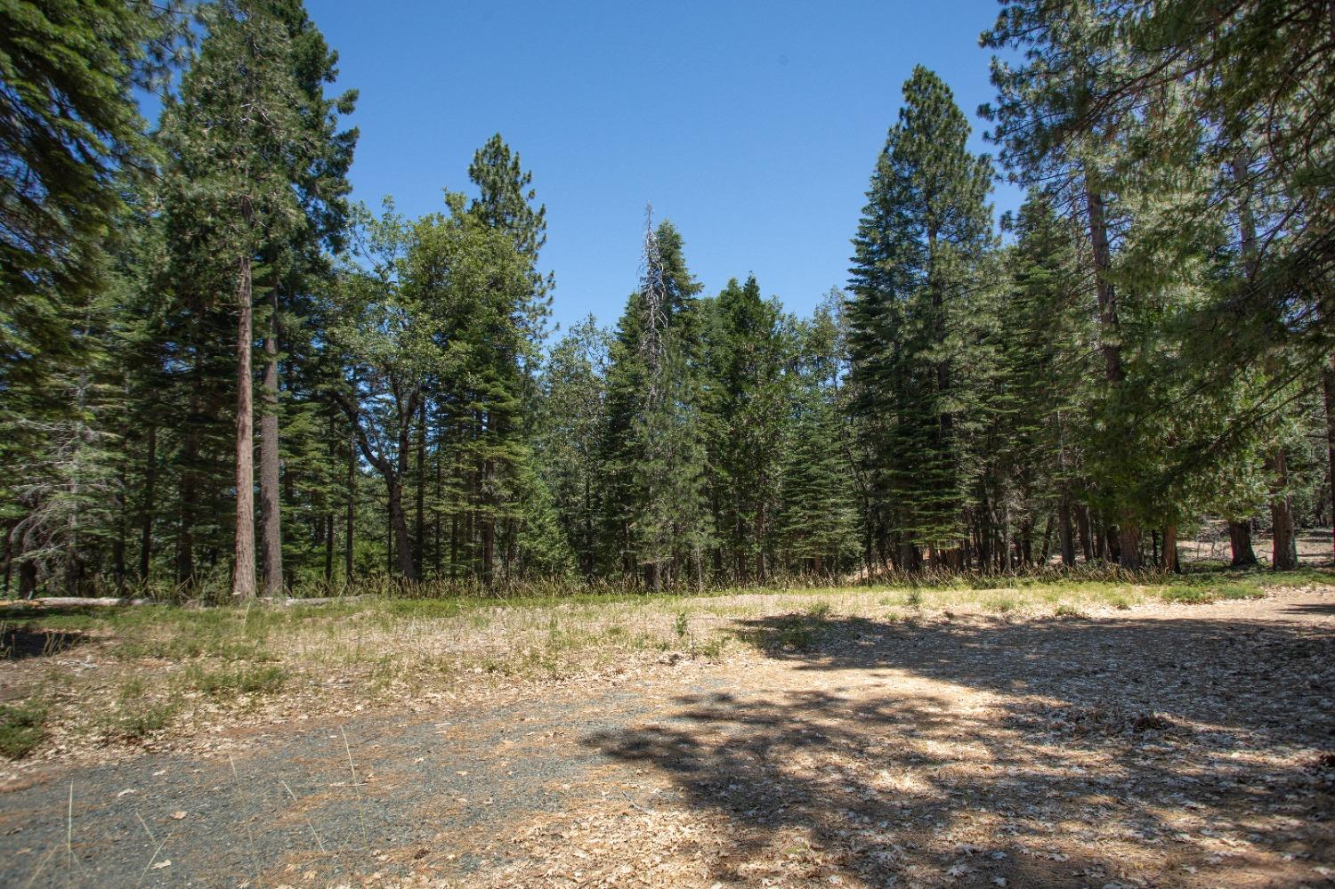 0 Canyon View Court Alta, CA 95701 - Photo 43 of 46 a view of outdoor space with trees all around