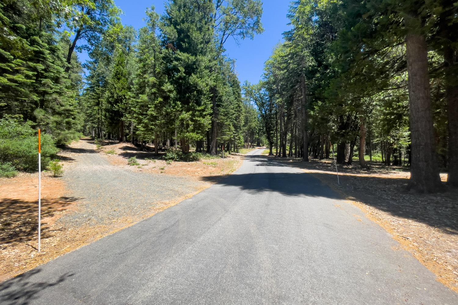 0 Canyon View Court Alta, CA 95701 - Photo 5 of 46 a view of road with trees