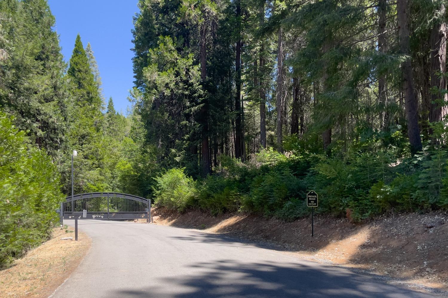 0 Canyon View Court Alta, CA 95701 - Photo 6 of 46 a view of a street with a trees