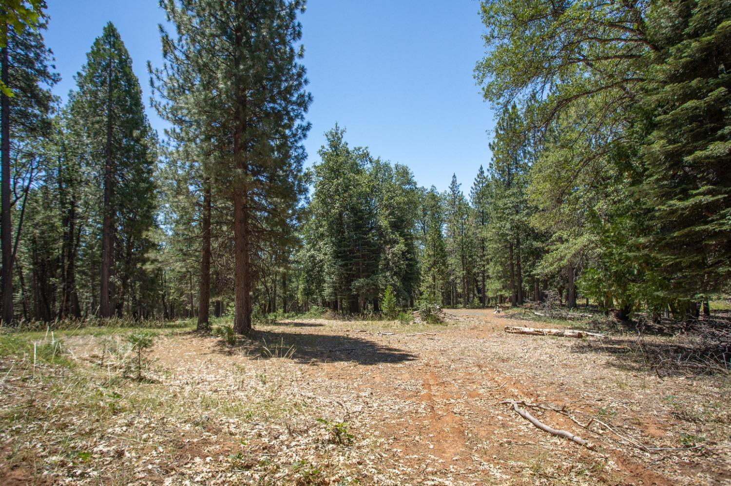 0 Canyon View Court Alta, CA 95701 - Photo 7 of 46 a view of outdoor space with trees