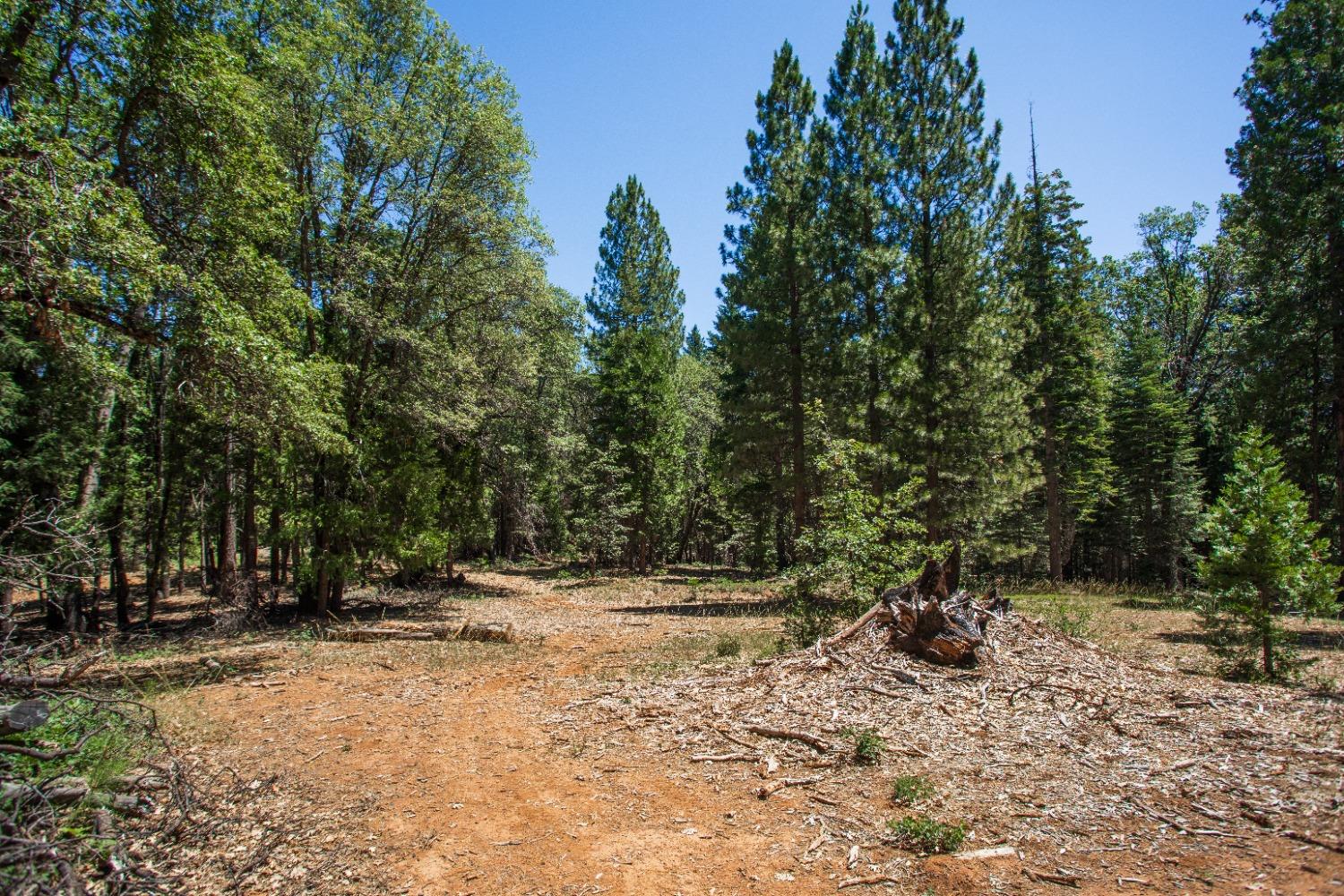 0 Canyon View Court Alta, CA 95701 - Photo 8 of 46 a view of outdoor space with trees