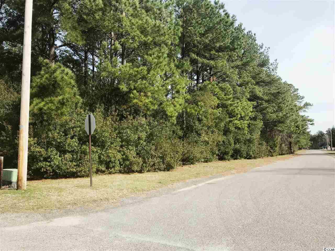 931 Barrett Street Loris, SC 29569 - Photo 3 of 5