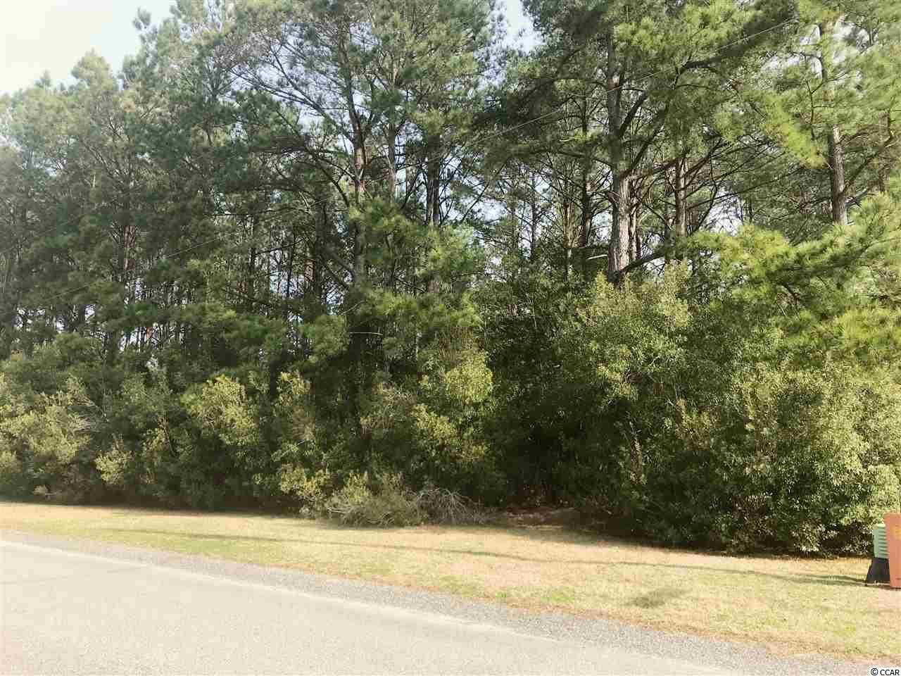 931 Barrett Street Loris, SC 29569 - Photo 4 of 5