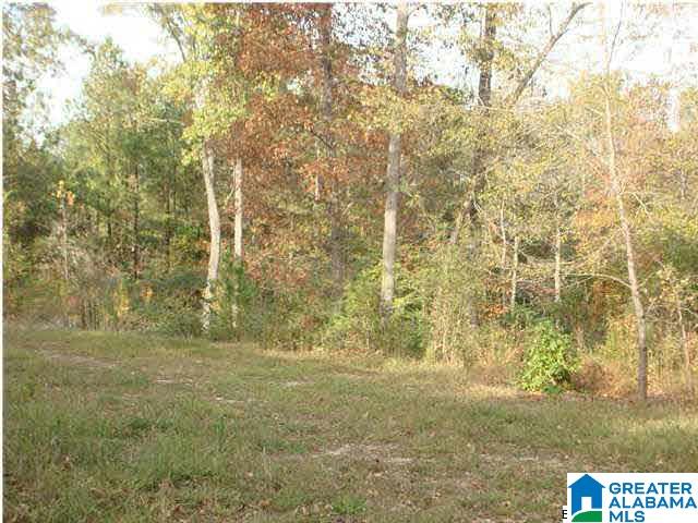 0 Ty Place, Unit 3 LOTS Ohatchee, AL 36271 - Photo 10 of 12