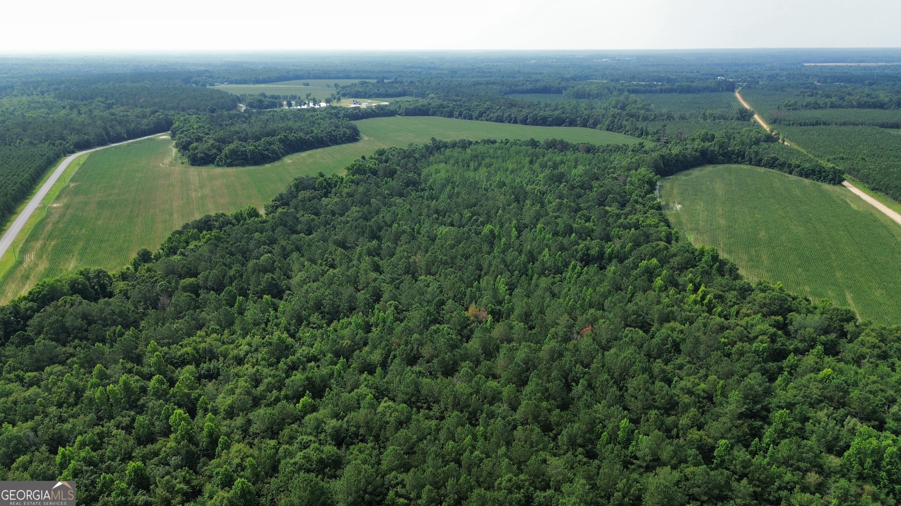 1665 Walke Dairy Road Dublin, GA 31021 - Photo 30 of 94