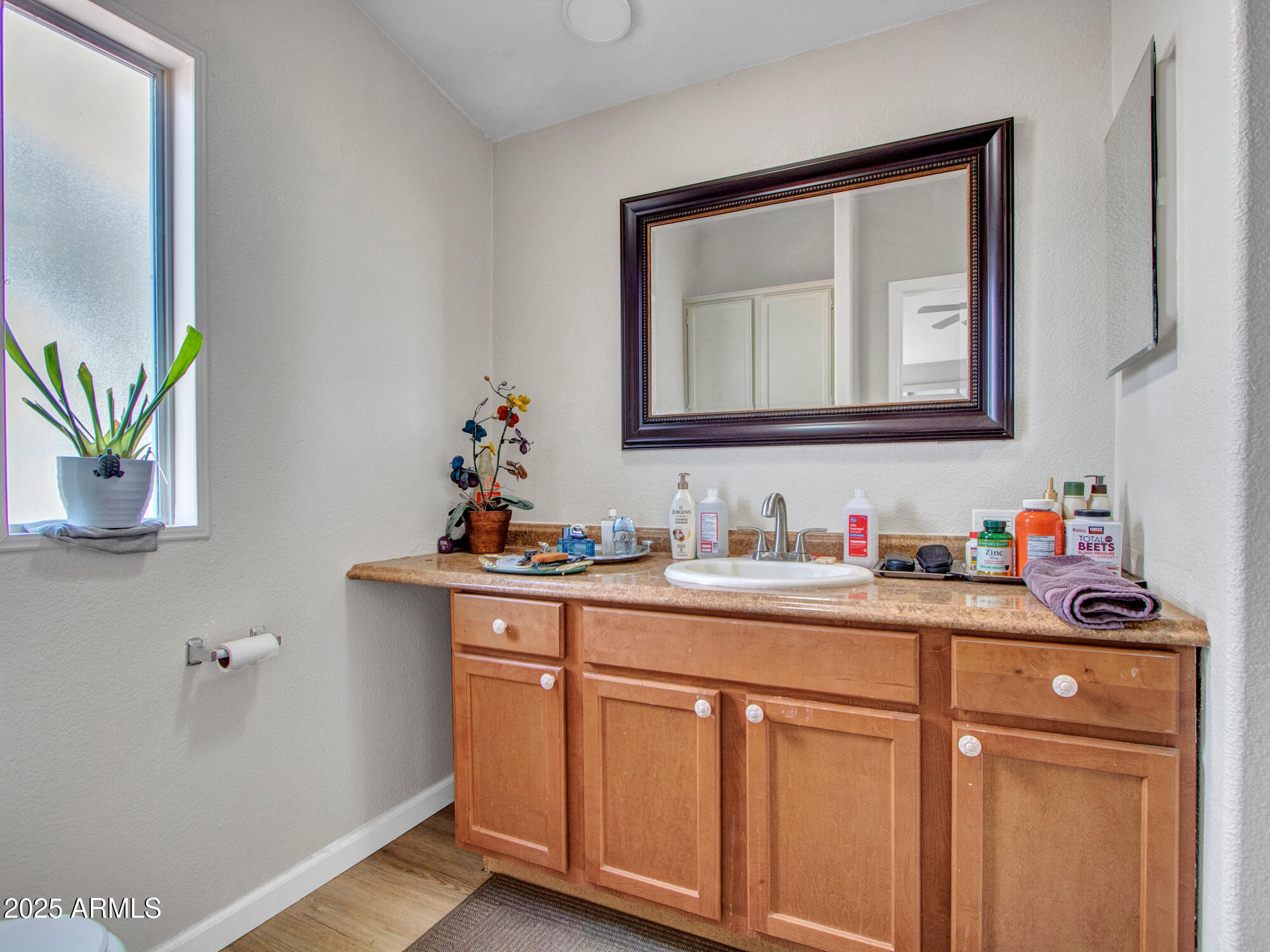 6227 North Litchfield Road, Unit 69 Litchfield Park, AZ 85340 - Photo 24 of 30 a bathroom with a sink a vanity and a mirror
