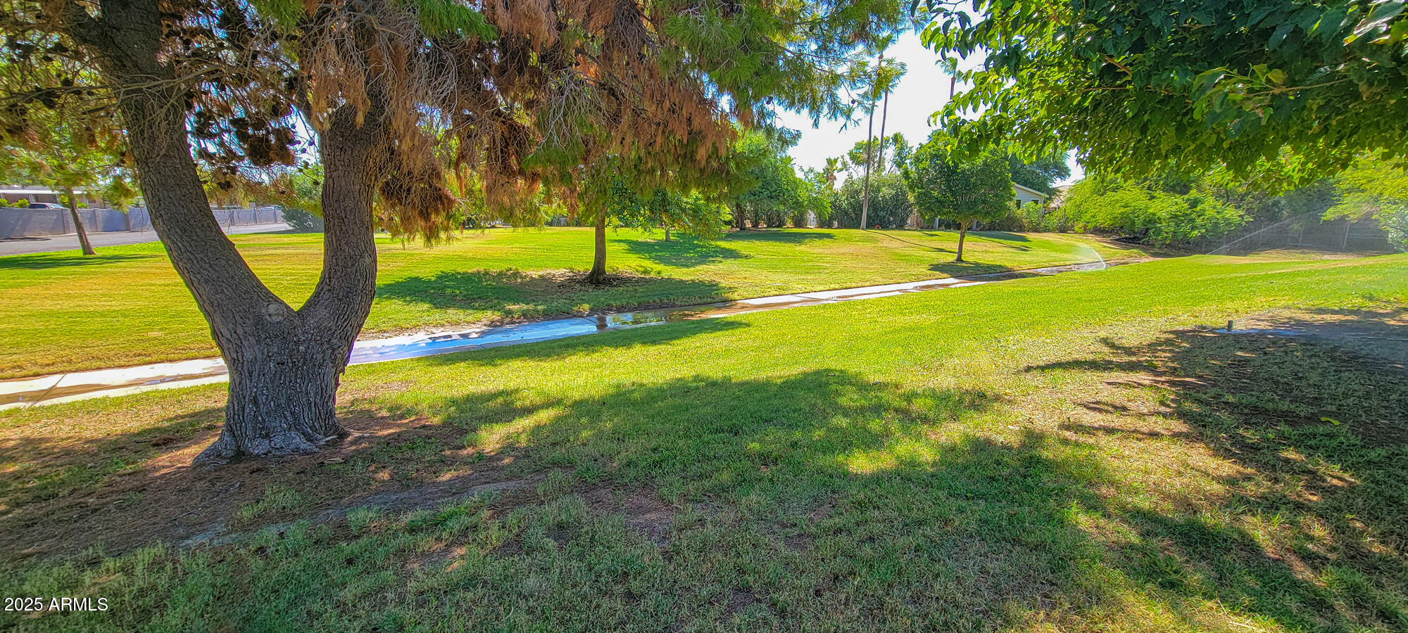 6227 North Litchfield Road, Unit 69 Litchfield Park, AZ 85340 - Photo 26 of 30 a view of a trees with a yard