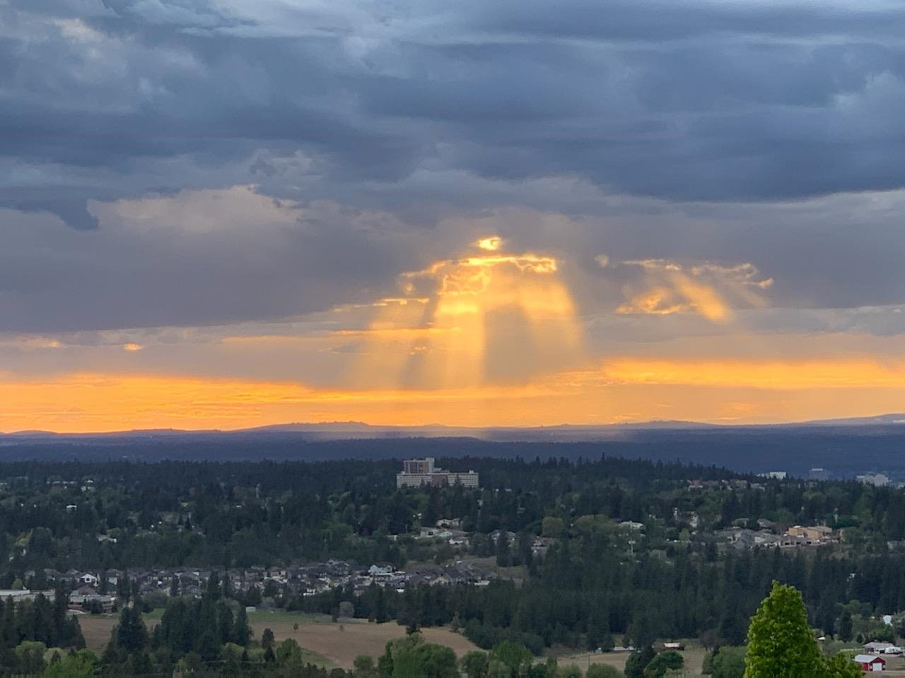 4025 South Thierman Road Spokane, WA 99223 - Photo 45 of 48