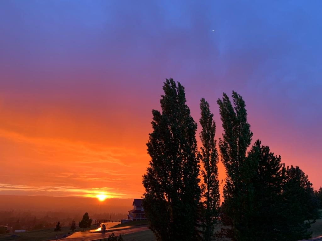 4025 South Thierman Road Spokane, WA 99223 - Photo 46 of 48