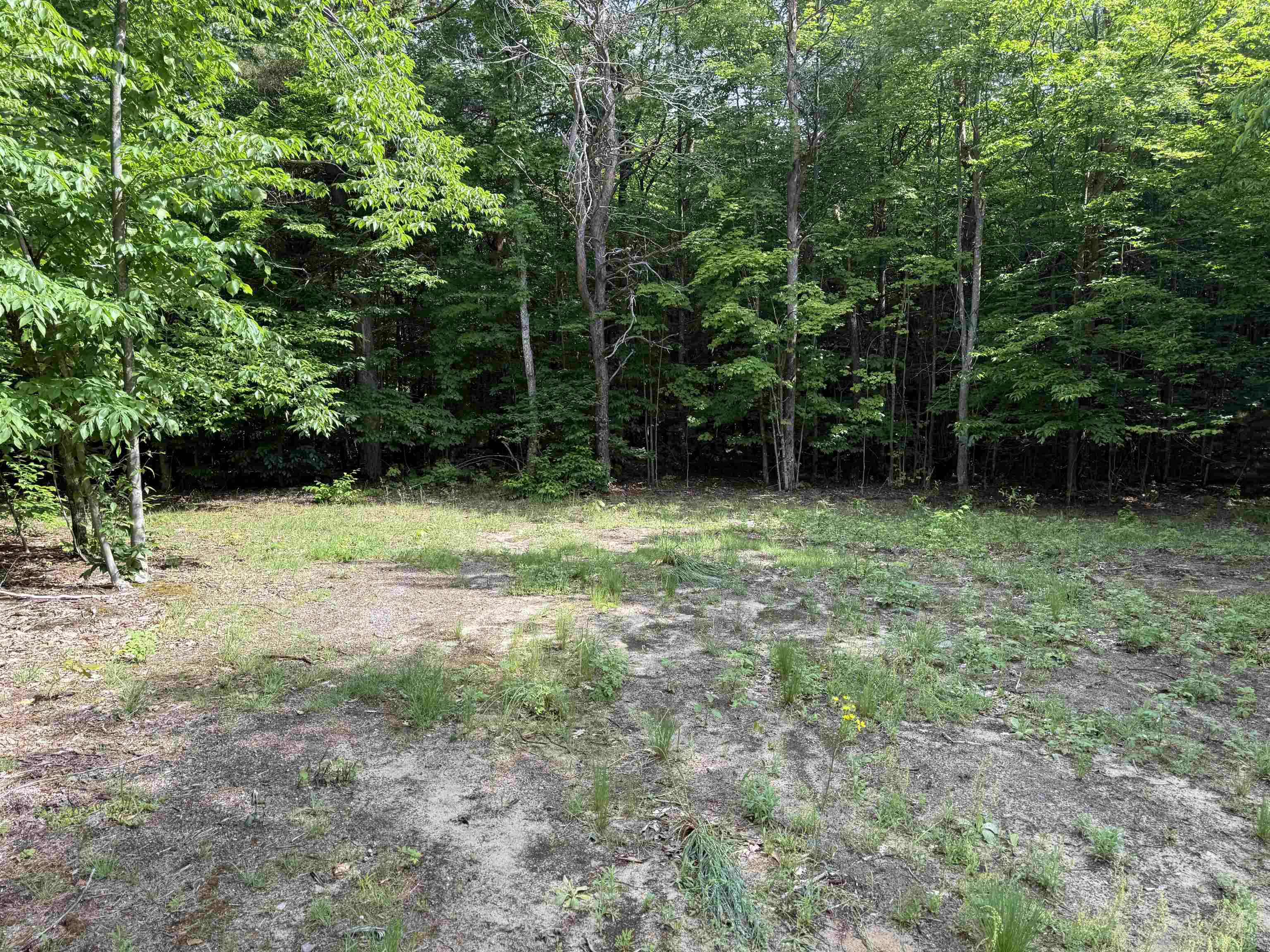 19493 Paradise Ridge Trail Cedar, MI 49684 - Photo 5 of 19