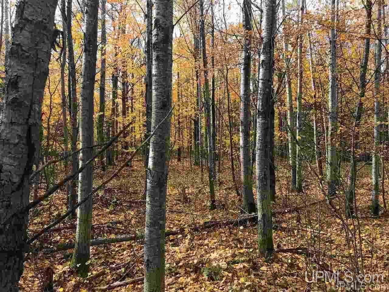 Tbd Co Rd 426 Cornell, MI 49818 - Photo 15 of 20