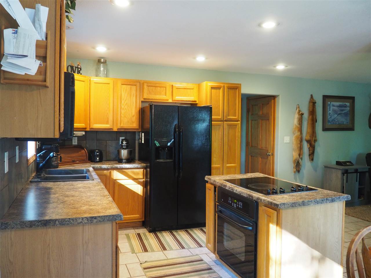 5255 South Snyder Road Southwest Fife Lake, MI 49633 - Photo 7 of 31 1862619-6.JPG