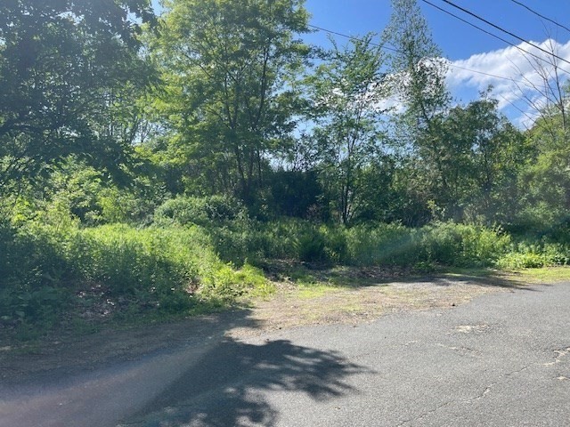 77 O'Neil Road Warren, MA 01092 - Photo 3 of 6 a view of a road with trees in the background