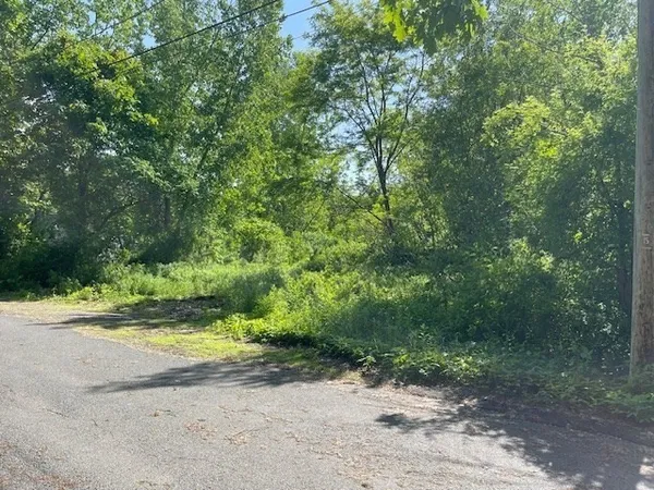 a view of a yard with a trees