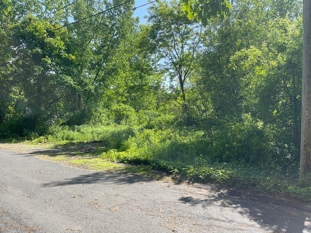 77 O'Neil Road Warren, MA 01092 - Photo 4 of 6 a view of a yard with a trees