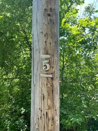 a view of a wooden door in the forest