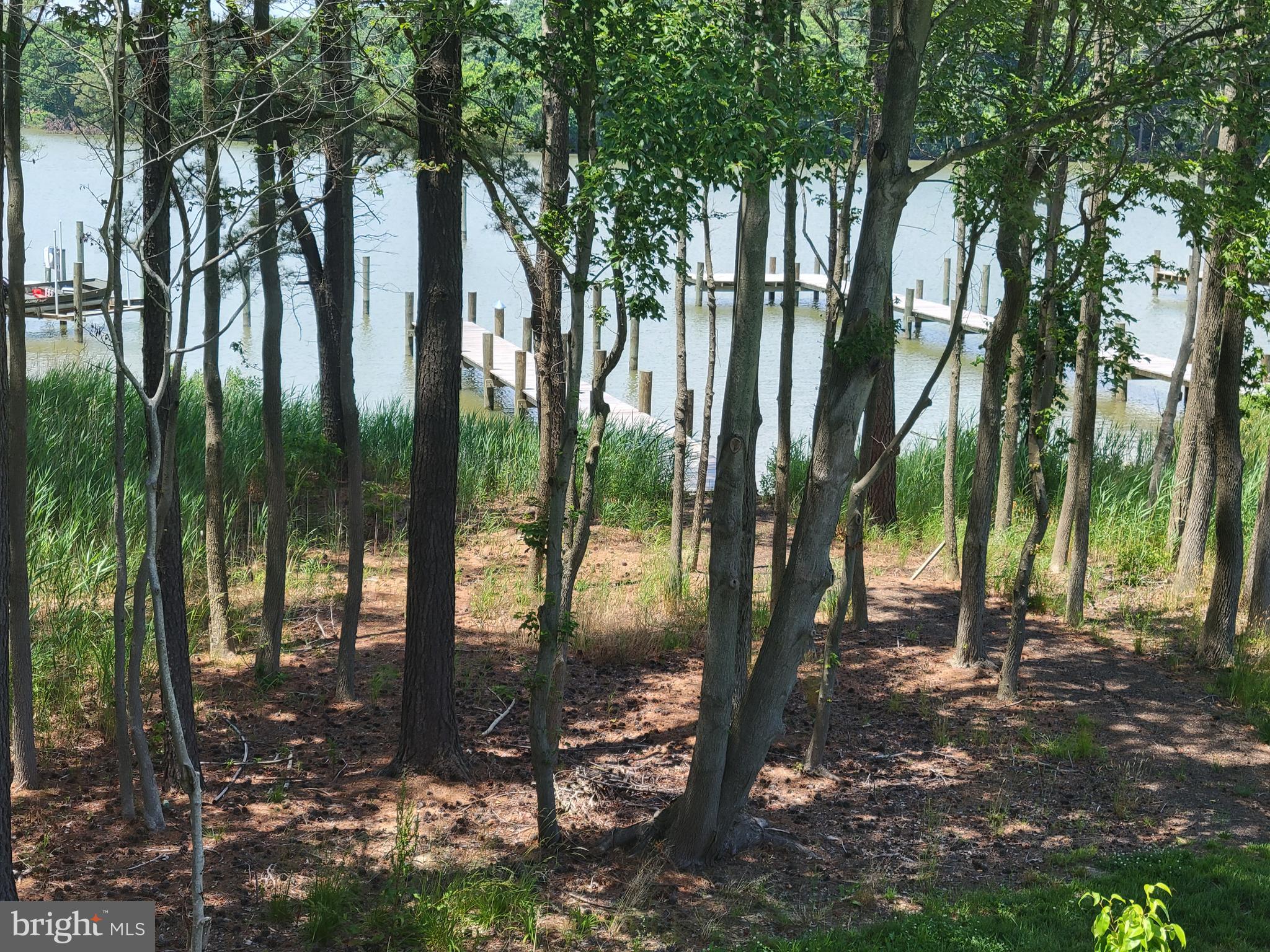 158 Watermans Cv Lane Chester, MD 21619 - Photo 3 of 12 Delightful water views and a quick walk to the pie