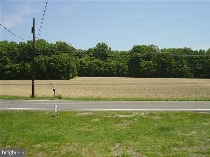 938 Aura Road Monroeville, NJ 08343 - Photo 8 of 22