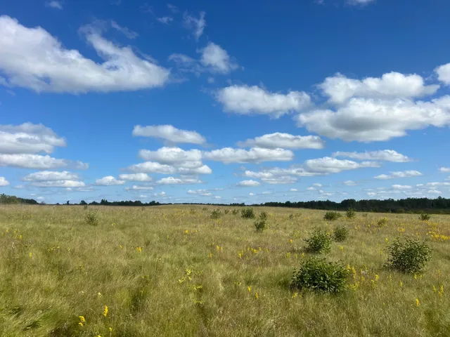 $449,900 | 24007 Kestrel Avenue, McGrath, MN 56350