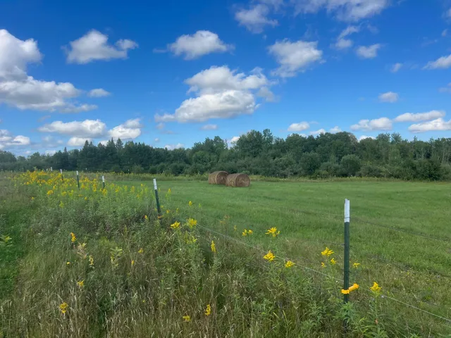 $449,900 | 24007 Kestrel Avenue, McGrath, MN 56350