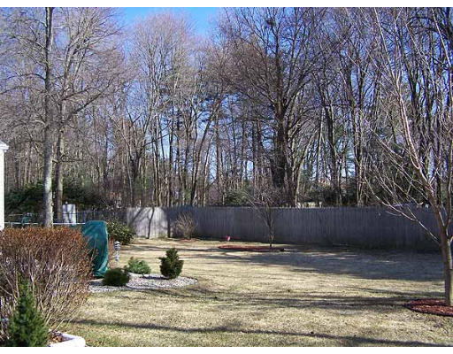 49 Dutchess Street Springfield, MA 01129 - Photo 22 of 25 a view of a park with large trees