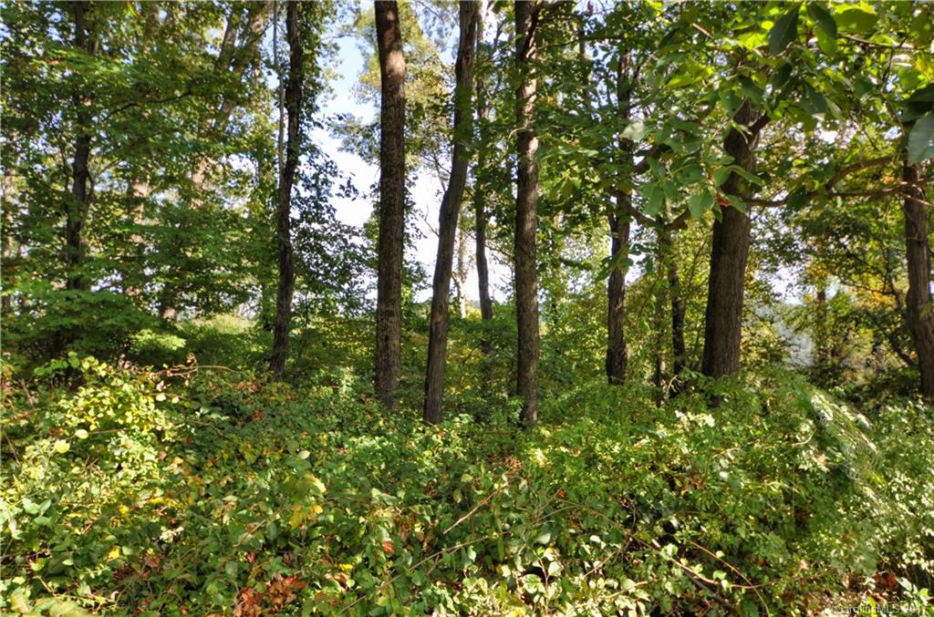 9999 Country Ridge Road Hendersonville, NC 28739 - Photo 14 of 15