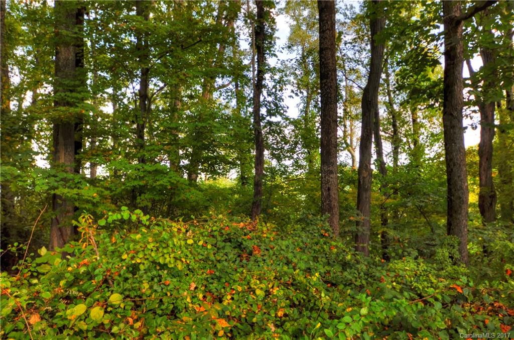 9999 Country Ridge Road Hendersonville, NC 28739 - Photo 15 of 15 a view of a lush green forest